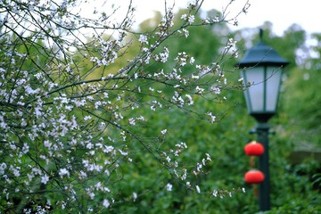 _MG_0890--