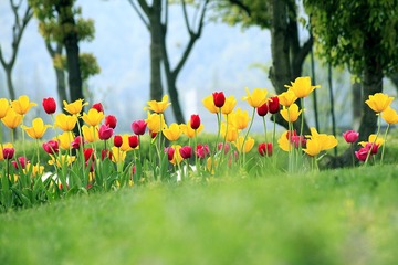 _MG_1209-