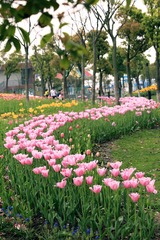 _MG_1225--