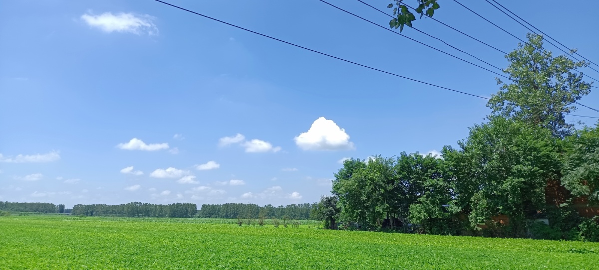 夏天蓝天白云莫过于此