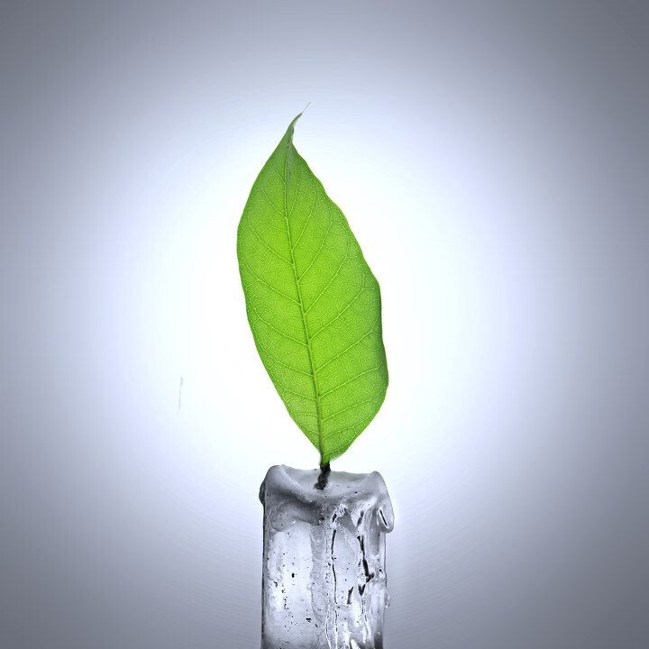 冰冻蜡烛的绿色火焰<br />
