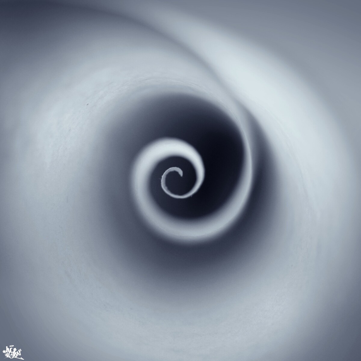 O<br />

