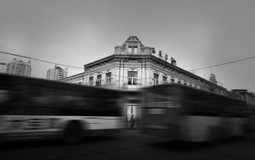 IMG_1231.jpg