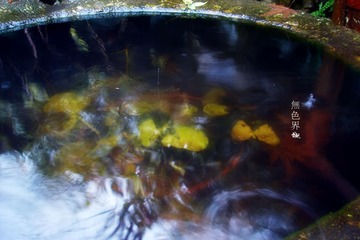 DSC04908.jpg