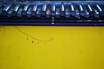 DSC04916.jpg