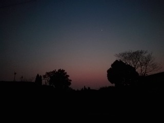 A33D6DDD-3E10-4019-B91F-73EE9B31CE97/L0/001