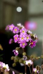 98C0308F-50F3-456F-96B0-E0CBBEEC46F7/L0/001