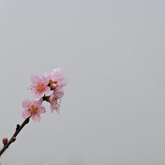 7A04558F-DB88-4D6D-AF13-8CCD07E96968/L0/001