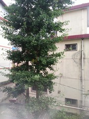 1866091