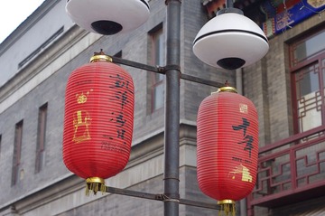 IMGP3393.jpg