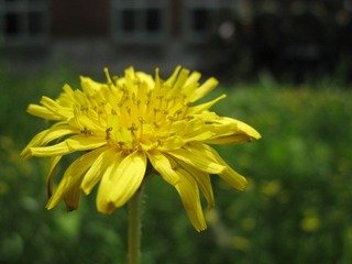IMG_0616.JPG