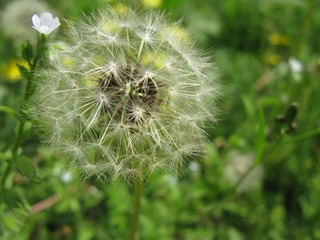 IMG_0618.JPG