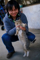可怜的猫