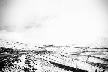 SDIM0177.jpg