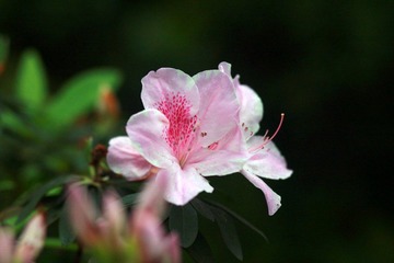 IMG_3626.JPG