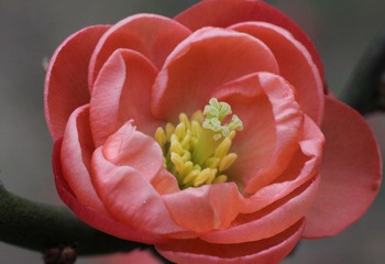 IMG_1544.jpg