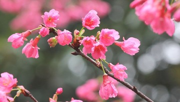 IMG_1508.jpg