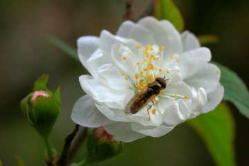 IMG_1569.jpg