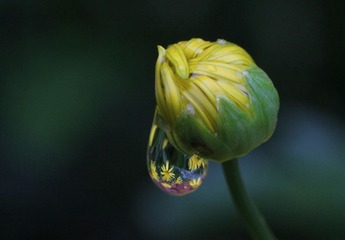 IMG_1647.jpg