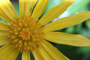 IMG_1653.JPG