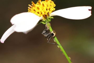 IMG_2228.jpg
