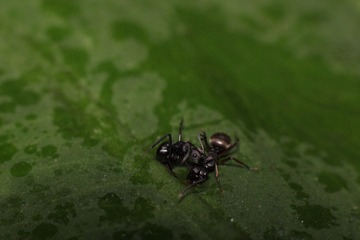 IMG_2254.JPG