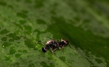 IMG_2252.jpg