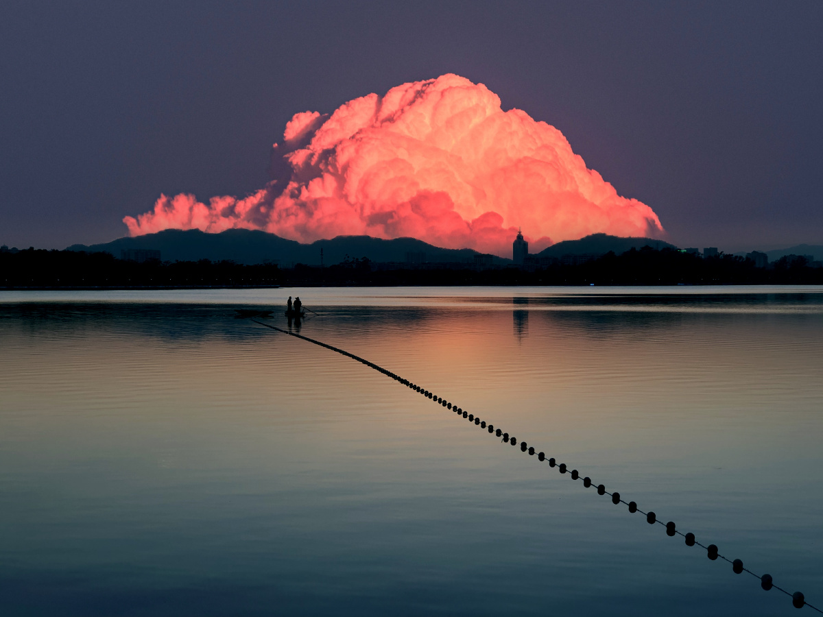这滤镜反差不错,意外惊喜.