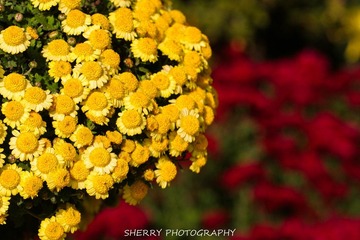 IMG_4280.jpg