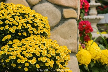 IMG_4318.jpg