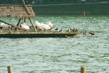 IMG_2341.JPG