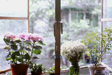 09644.jpg