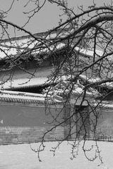IMG_0960-3.jpg