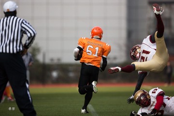 AFLC-17