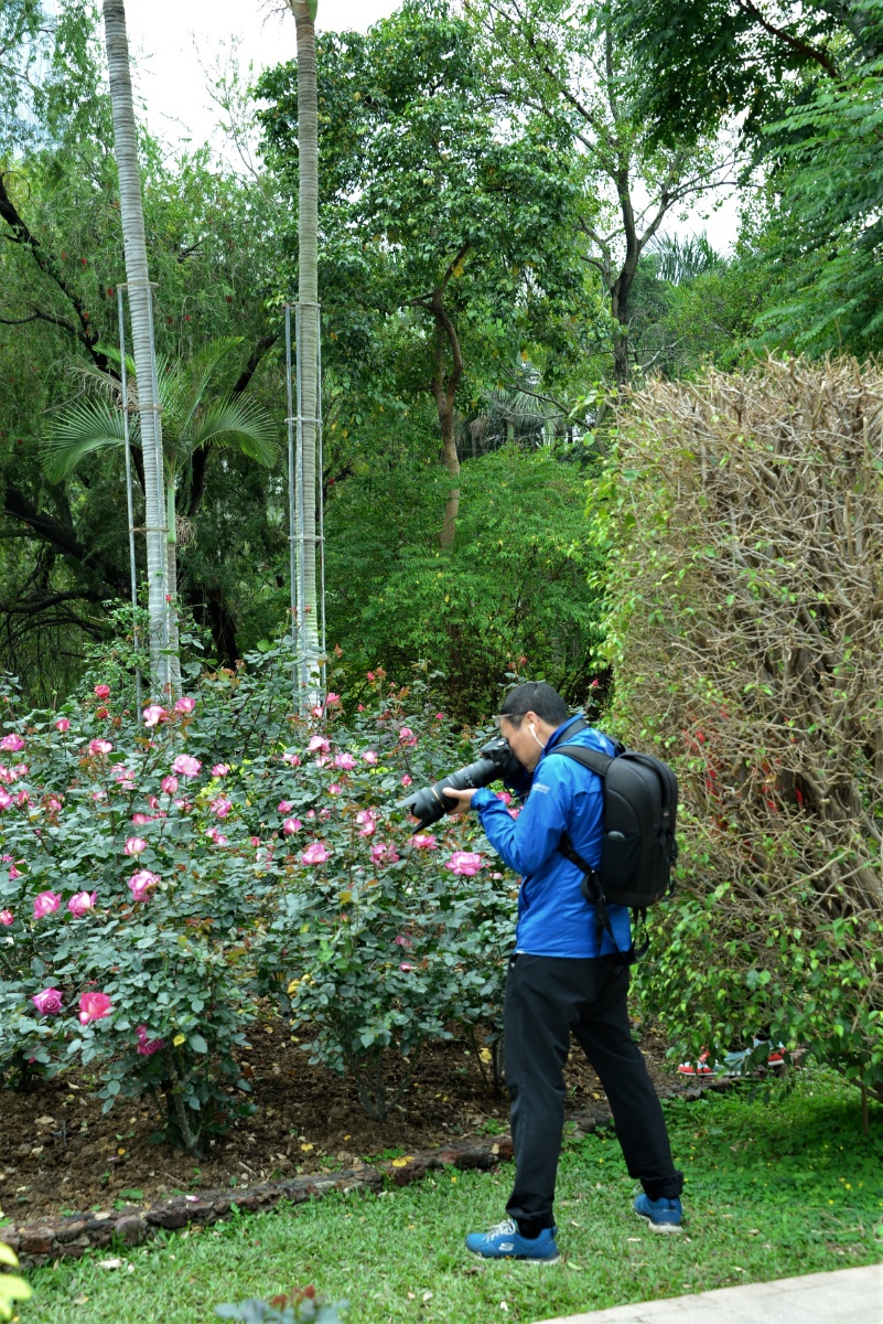公园拍花者之五 - lg寻光觅影 - 图虫网 - 最好的摄影师都在这