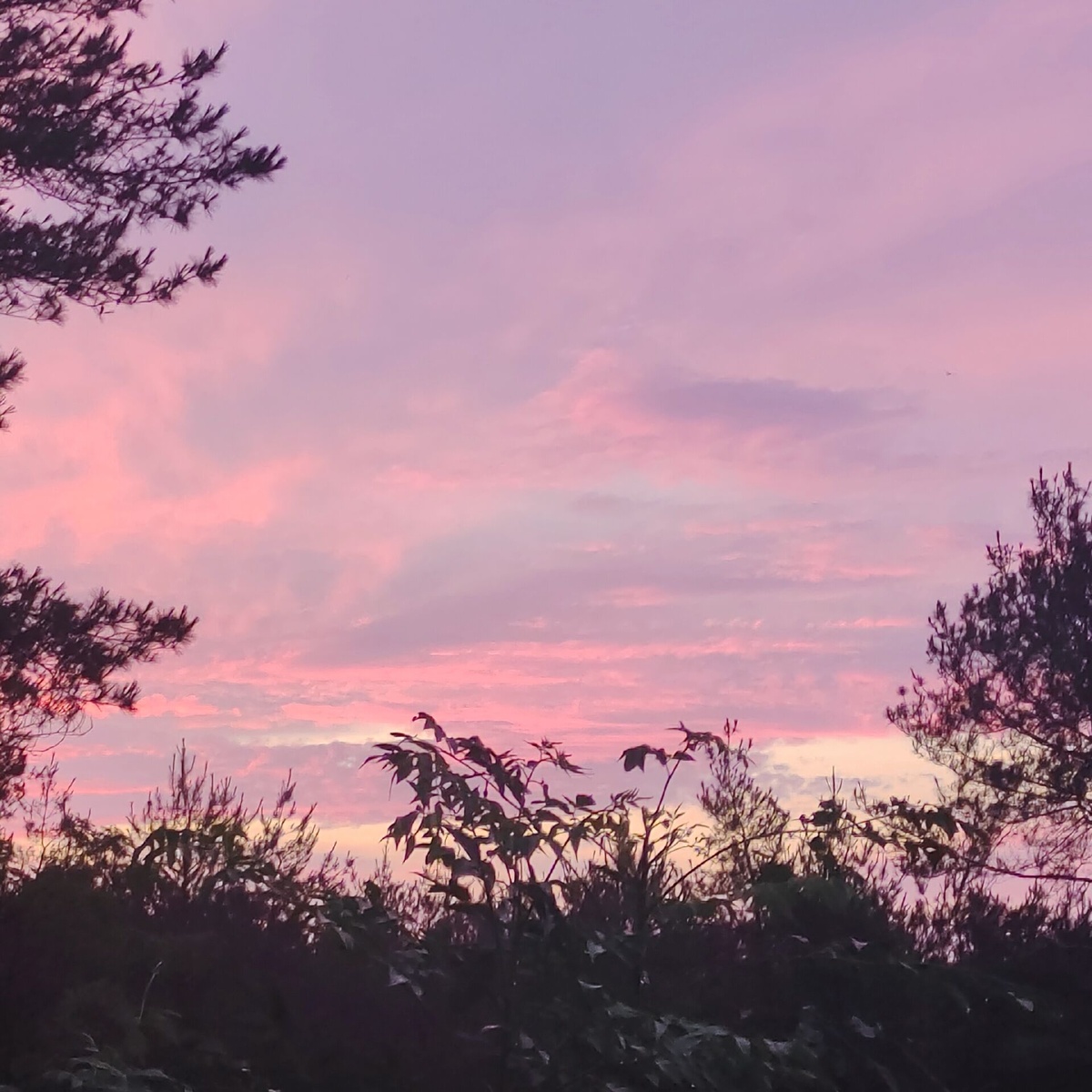 下过雨后的夏天傍晚我好喜欢你