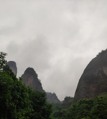 20016
