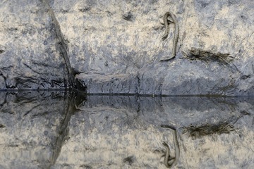 IMG_0197-2
