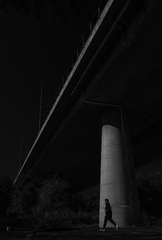213481