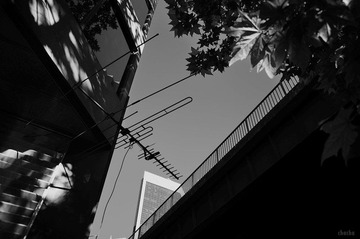 1014-19.jpg