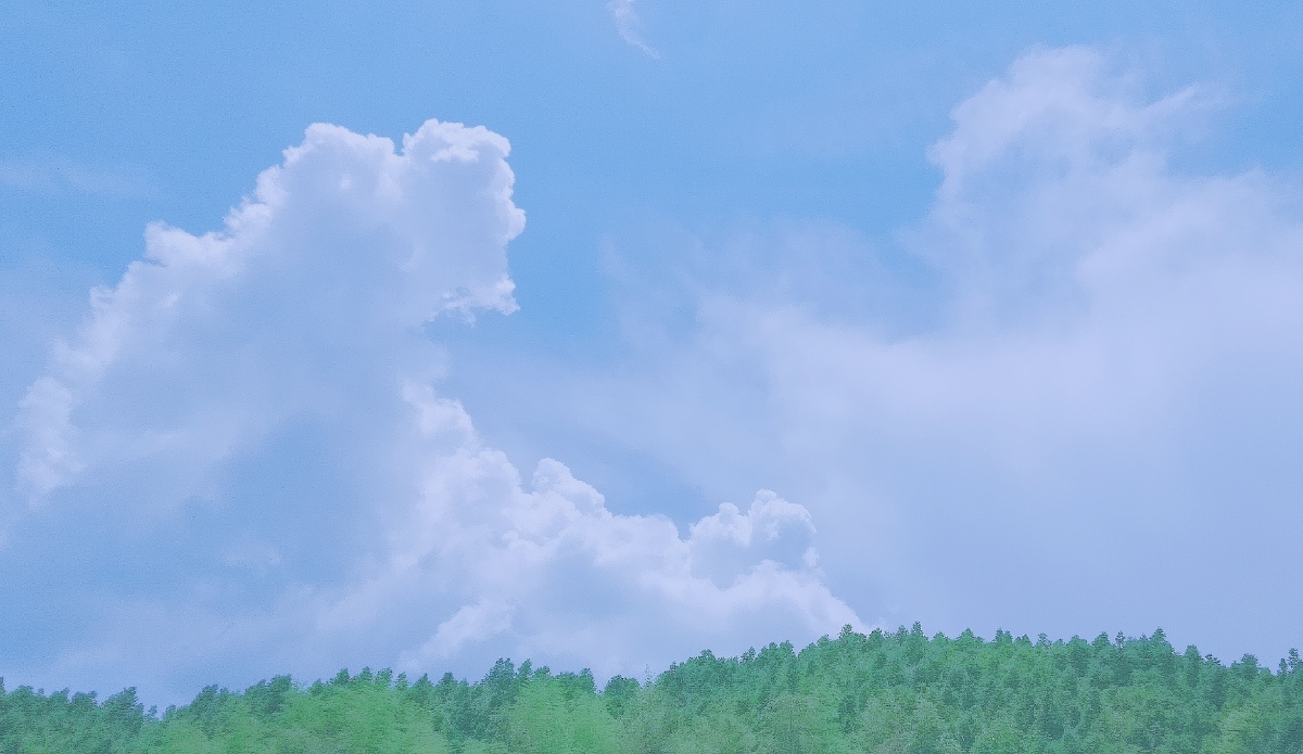 世间的温柔皆如干净的云朵和可爱至极的你