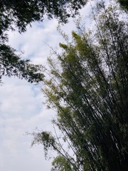 9177A6CF-E685-4B65-A08A-6C6E81AA7461/L0/001