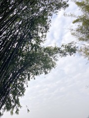 0A6C7379-59B3-4336-A5D8-D782C17DDEC7/L0/001