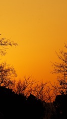 C089BA3E-9254-4C51-A89D-E0F22B970700/L0/001