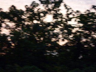 1604434
