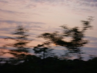 1604435
