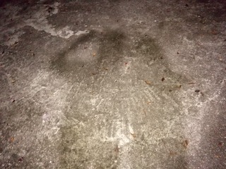 2083149