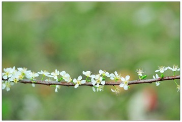 DSC_5719-NX2.jpg