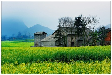 DSC_7065-NX2.jpg