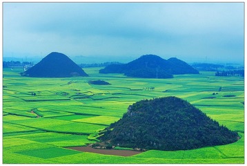 DSC_7211-NX2.jpg